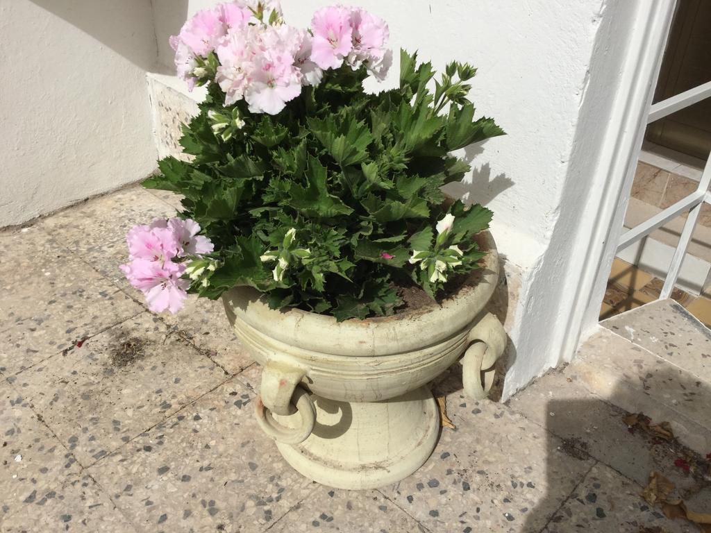 노토 Case Vacanze Le Rose 빌라 외부 사진